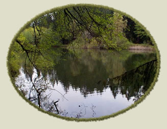 Cronemiller Lake